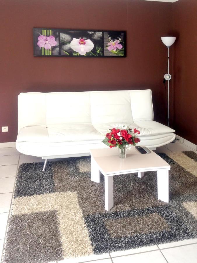 Appartement Charmant A Carcassonne Avec Terrasse Экстерьер фото