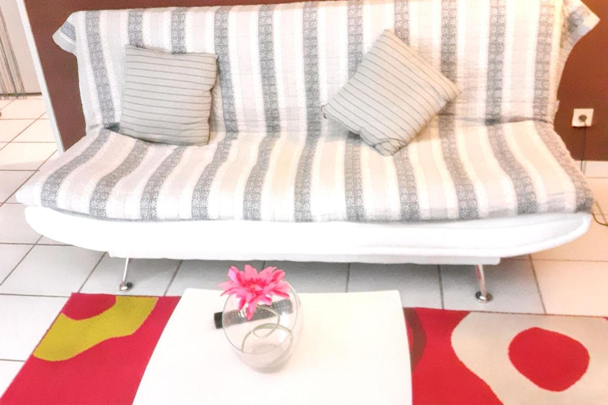 Appartement Charmant A Carcassonne Avec Terrasse Экстерьер фото